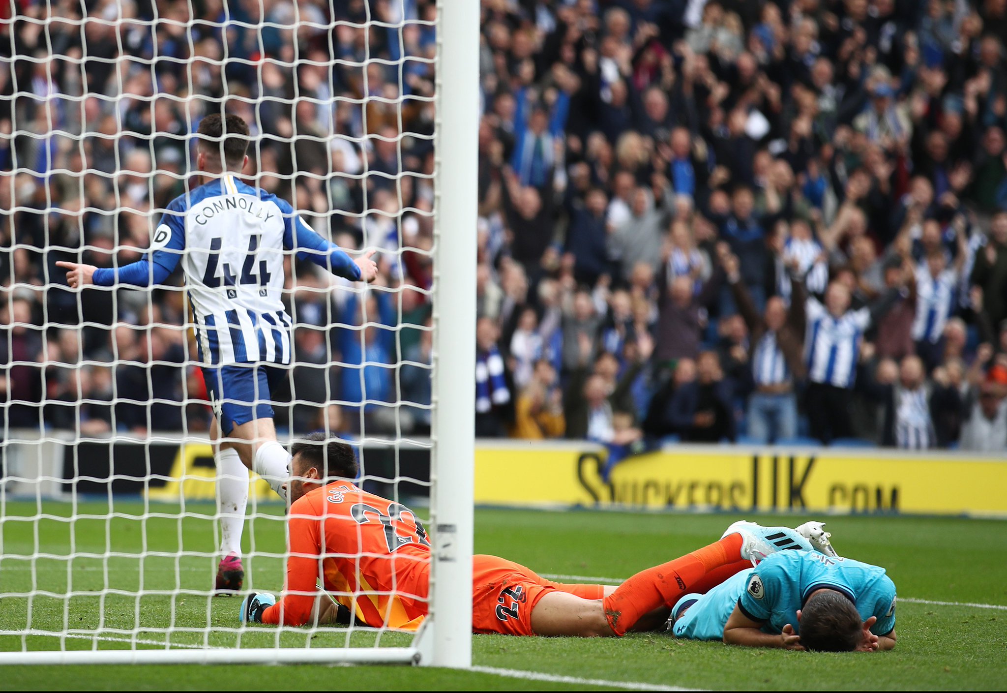 也不例外 也不例外